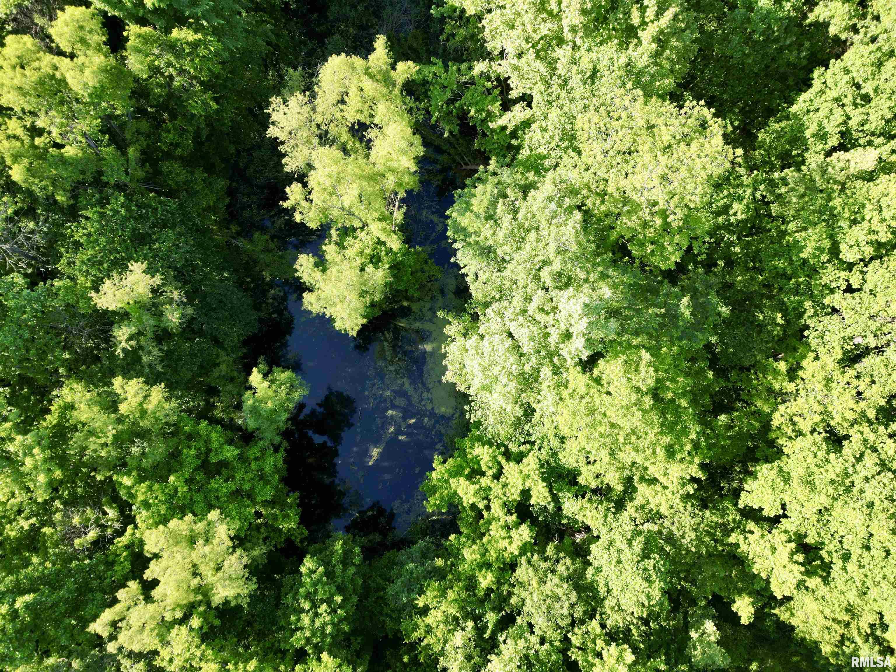 0 Yellow Springs Road Elizabethtown, IL 62931 - Photo 15 of 28