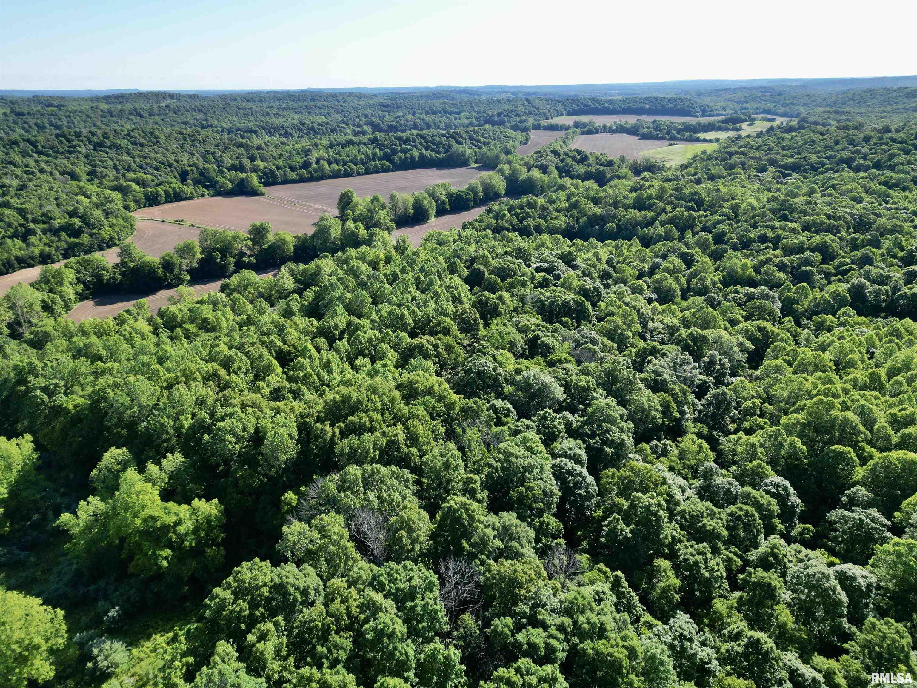 0 Yellow Springs Road Elizabethtown, IL 62931 - Photo 16 of 28