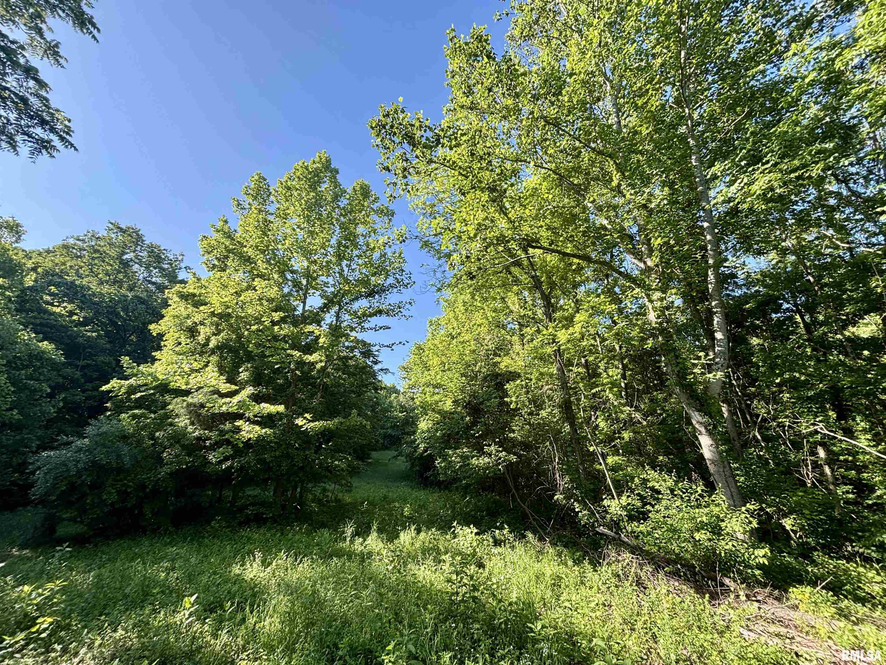 0 Yellow Springs Road Elizabethtown, IL 62931 - Photo 17 of 28