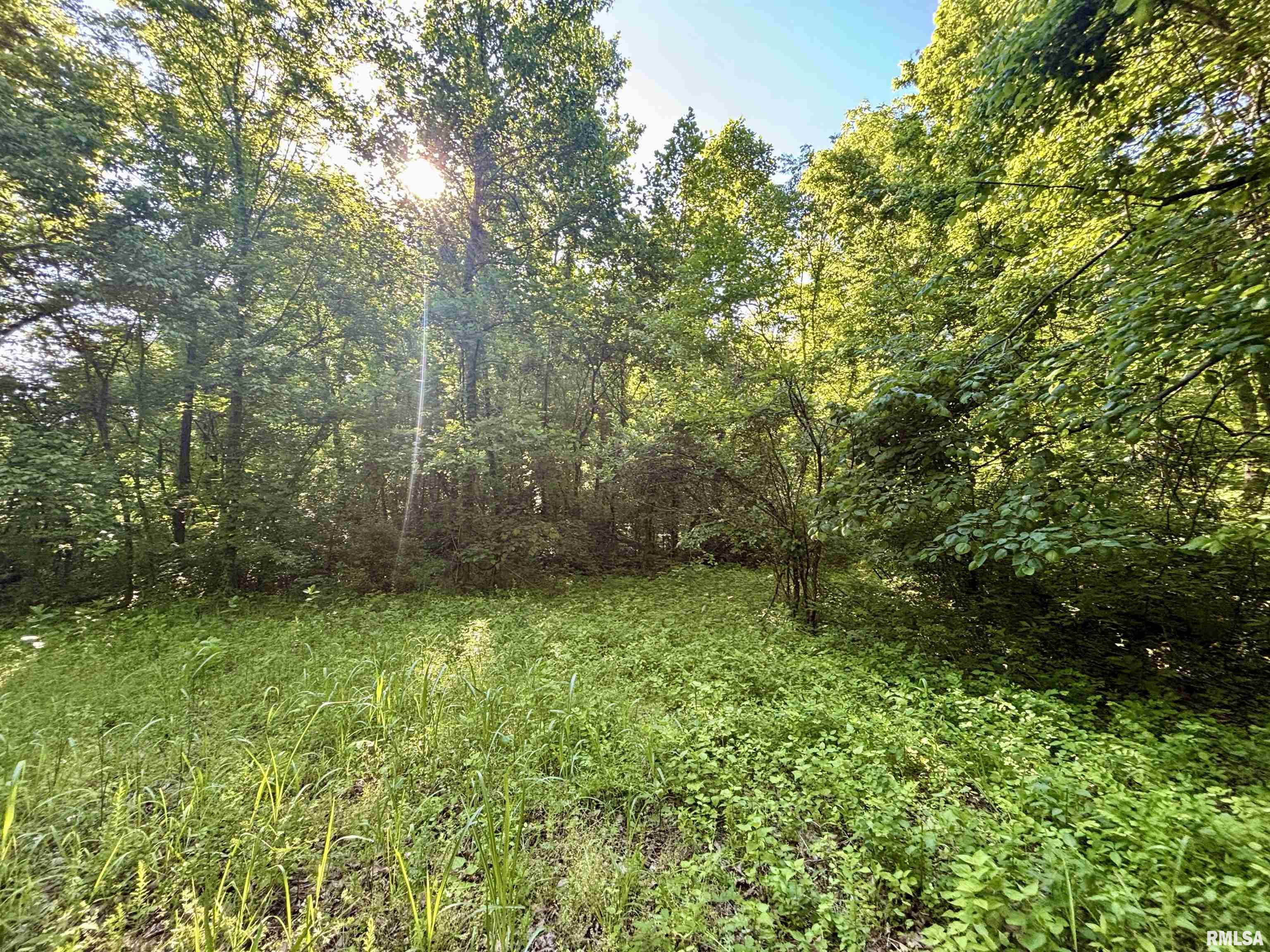 0 Yellow Springs Road Elizabethtown, IL 62931 - Photo 18 of 28