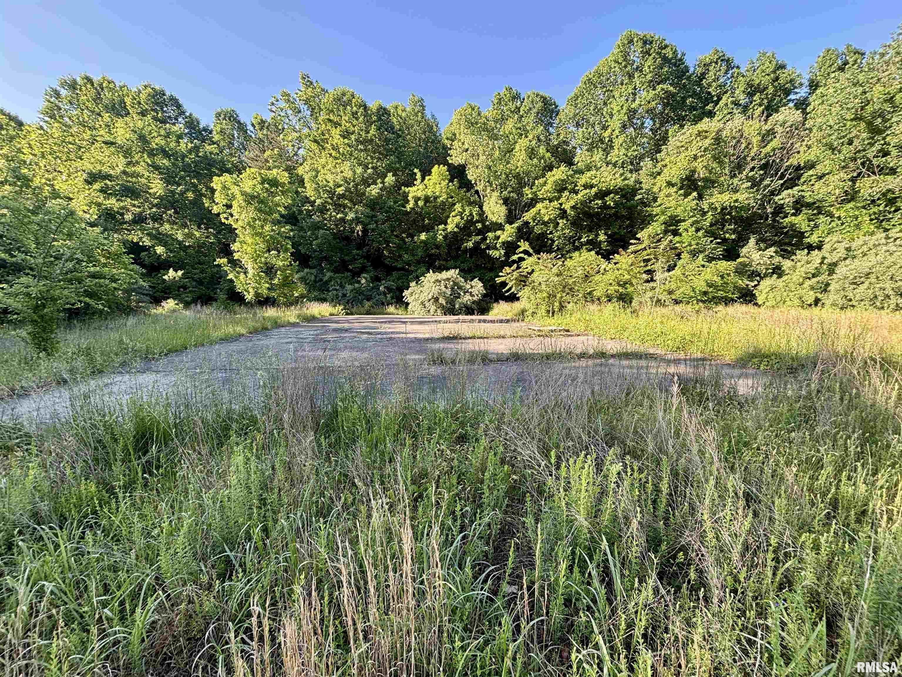 0 Yellow Springs Road Elizabethtown, IL 62931 - Photo 19 of 28