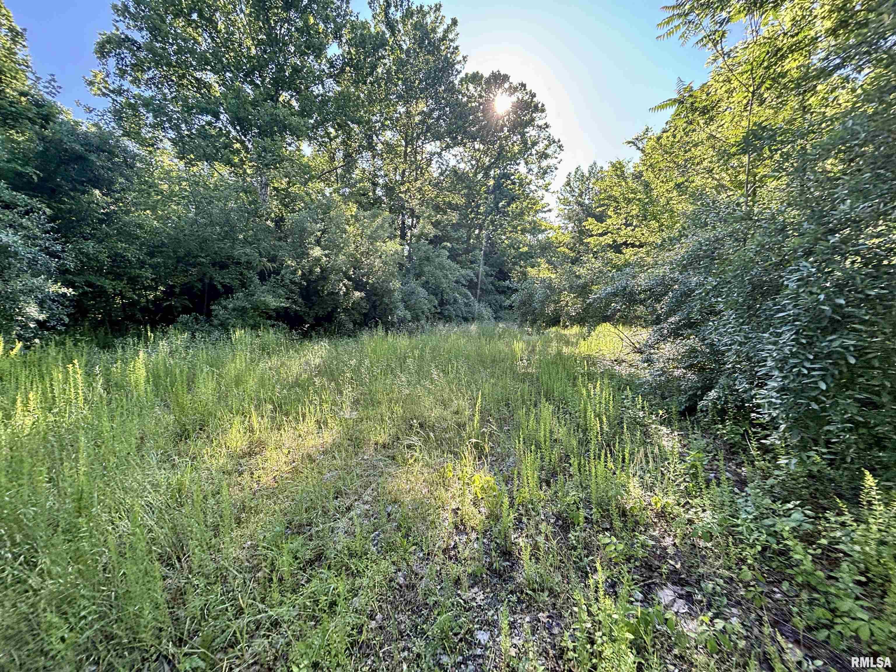 0 Yellow Springs Road Elizabethtown, IL 62931 - Photo 20 of 28