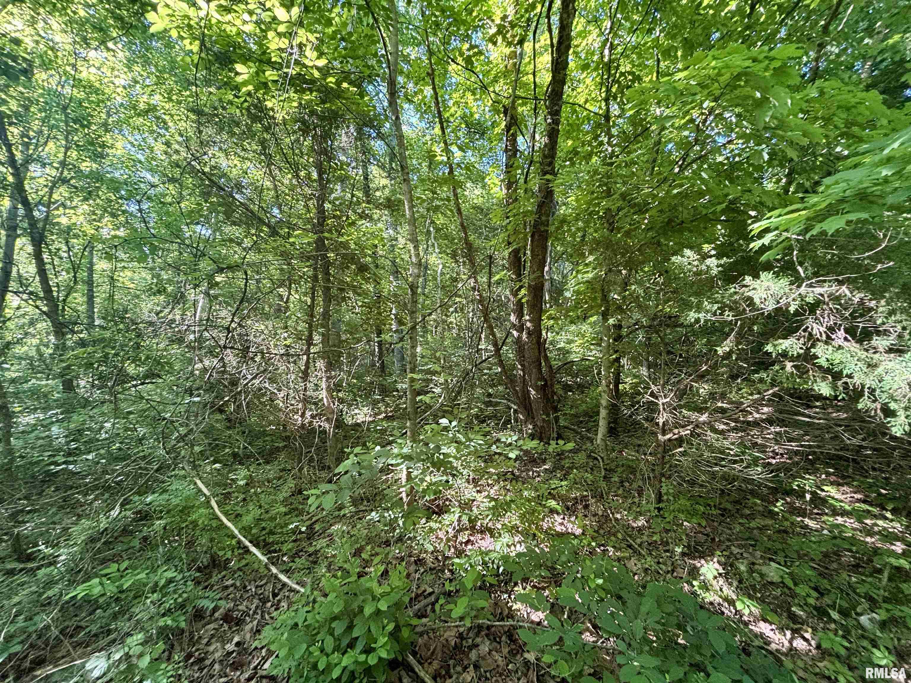 0 Yellow Springs Road Elizabethtown, IL 62931 - Photo 22 of 28