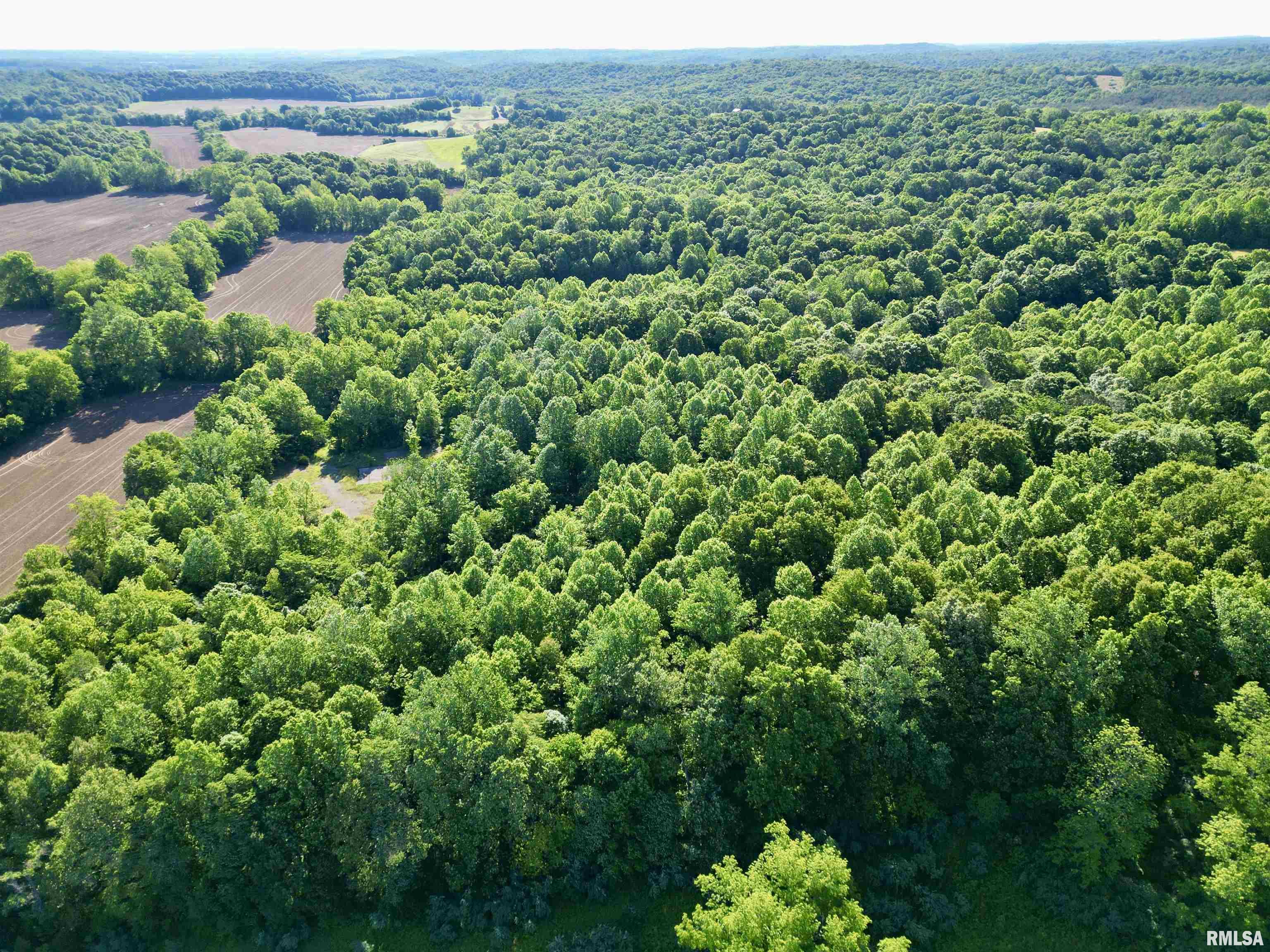 0 Yellow Springs Road Elizabethtown, IL 62931 - Photo 4 of 28