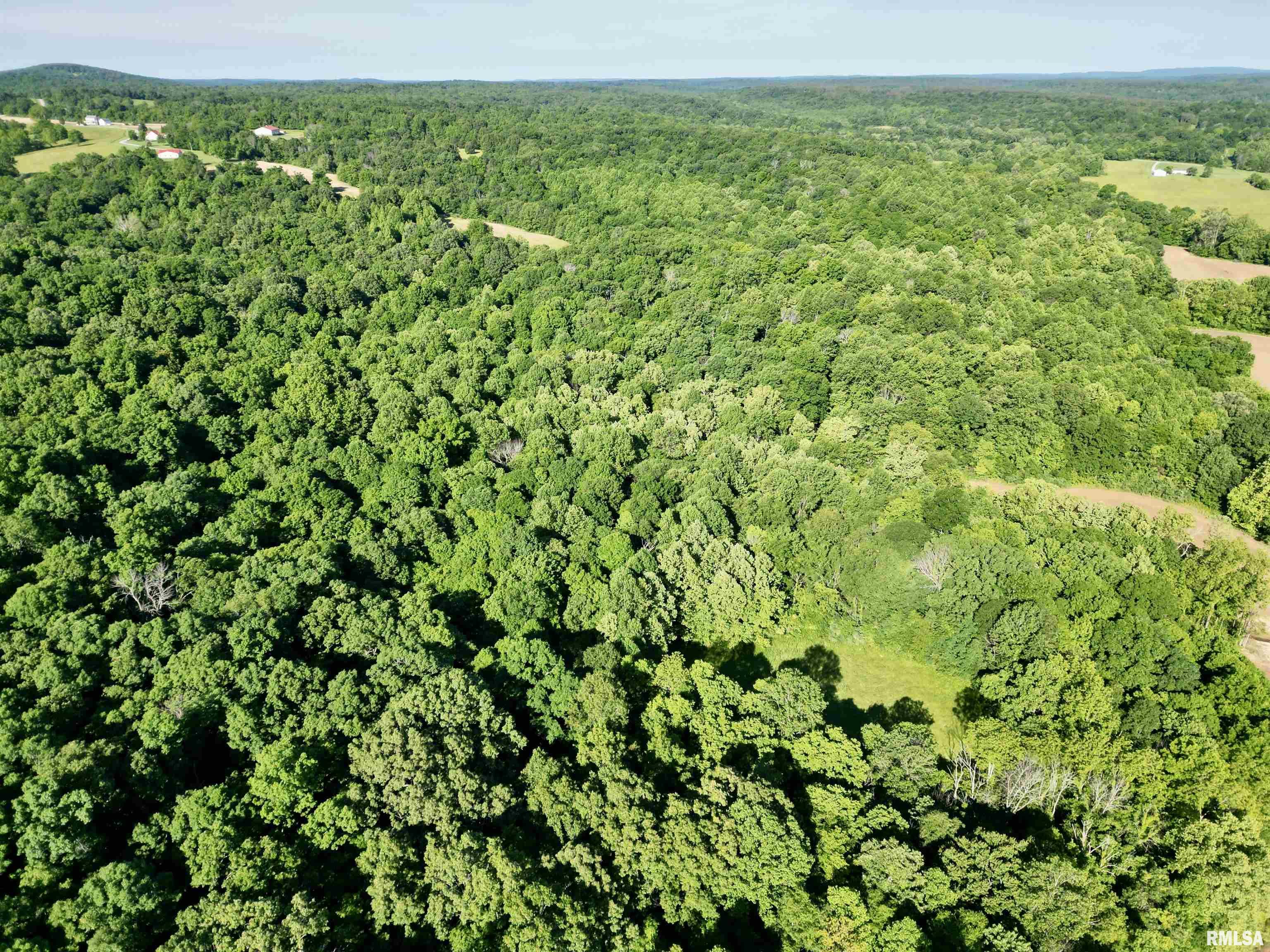 0 Yellow Springs Road Elizabethtown, IL 62931 - Photo 8 of 28