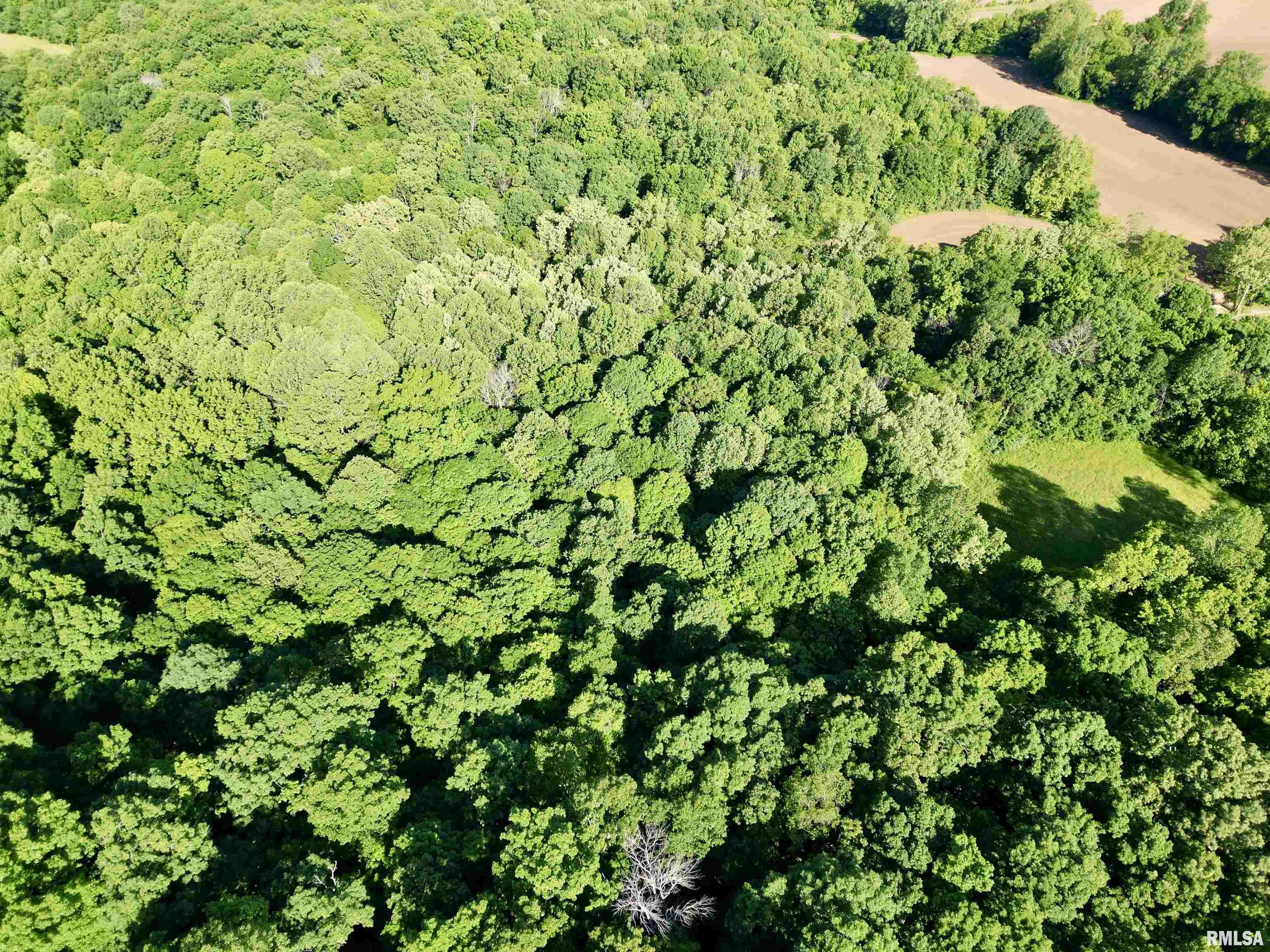 0 Yellow Springs Road Elizabethtown, IL 62931 - Photo 9 of 28