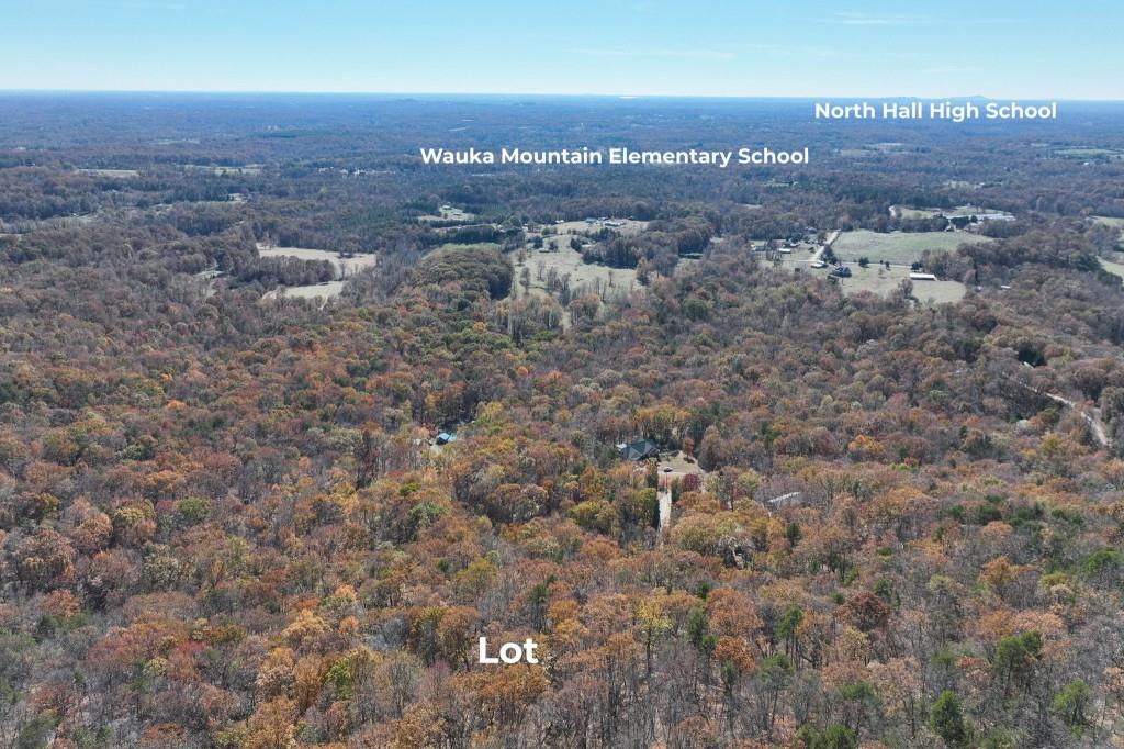 Lot 34 Wauka Ridge Road Cleveland, GA 30528 - Photo 10 of 14