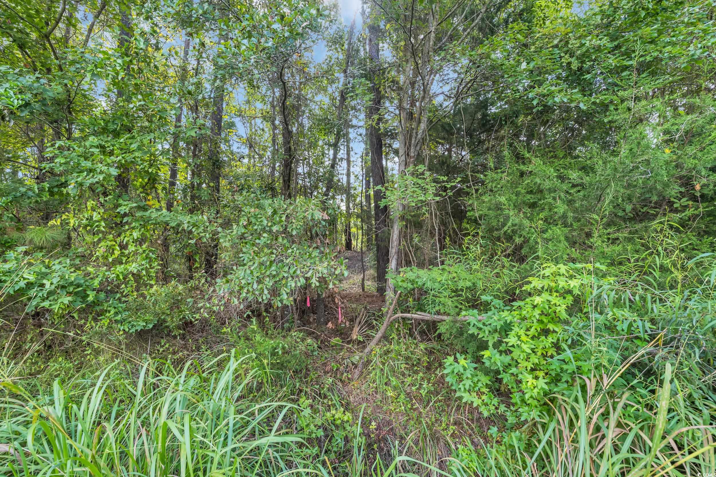 Tbd Creek Bend Road Georgetown, SC 29440 - Photo 2 of 12