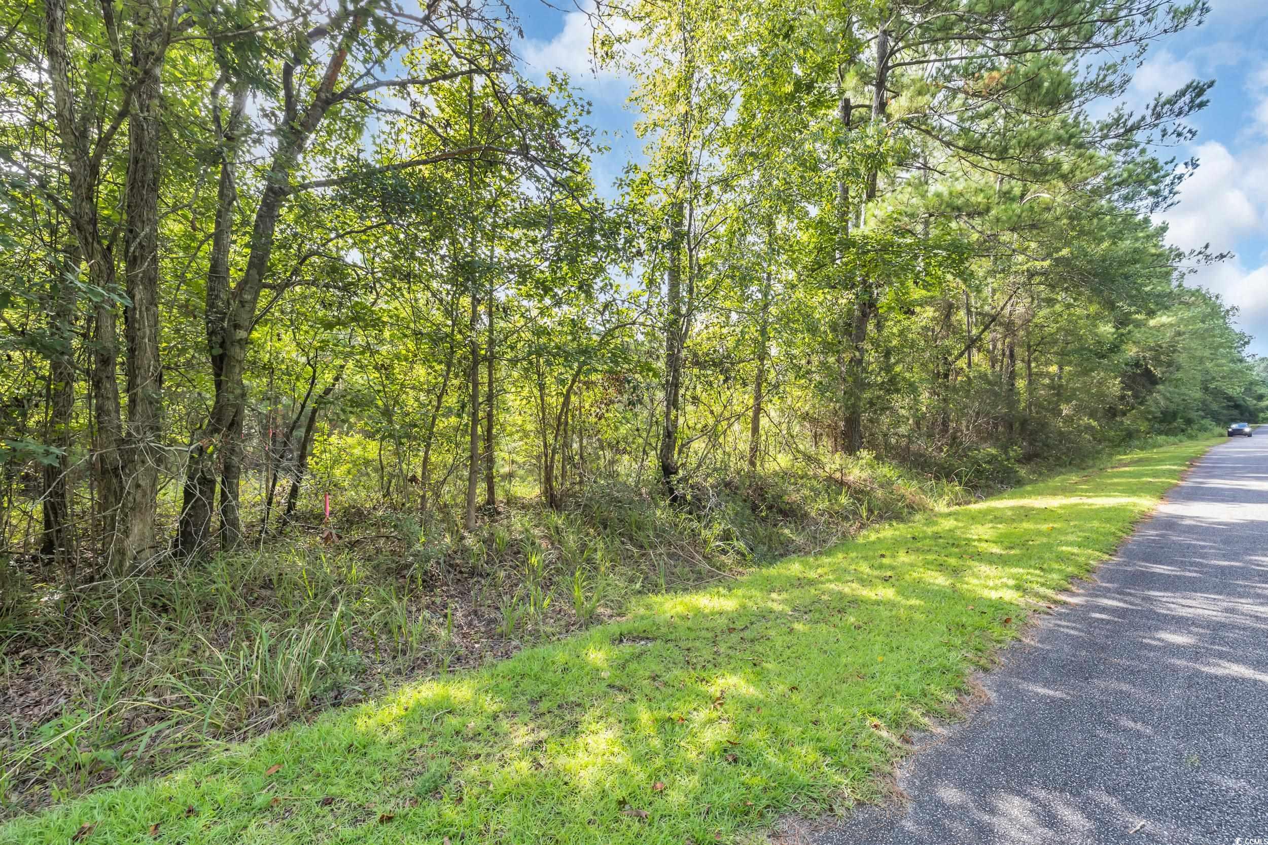 Tbd Creek Bend Road Georgetown, SC 29440 - Photo 3 of 12