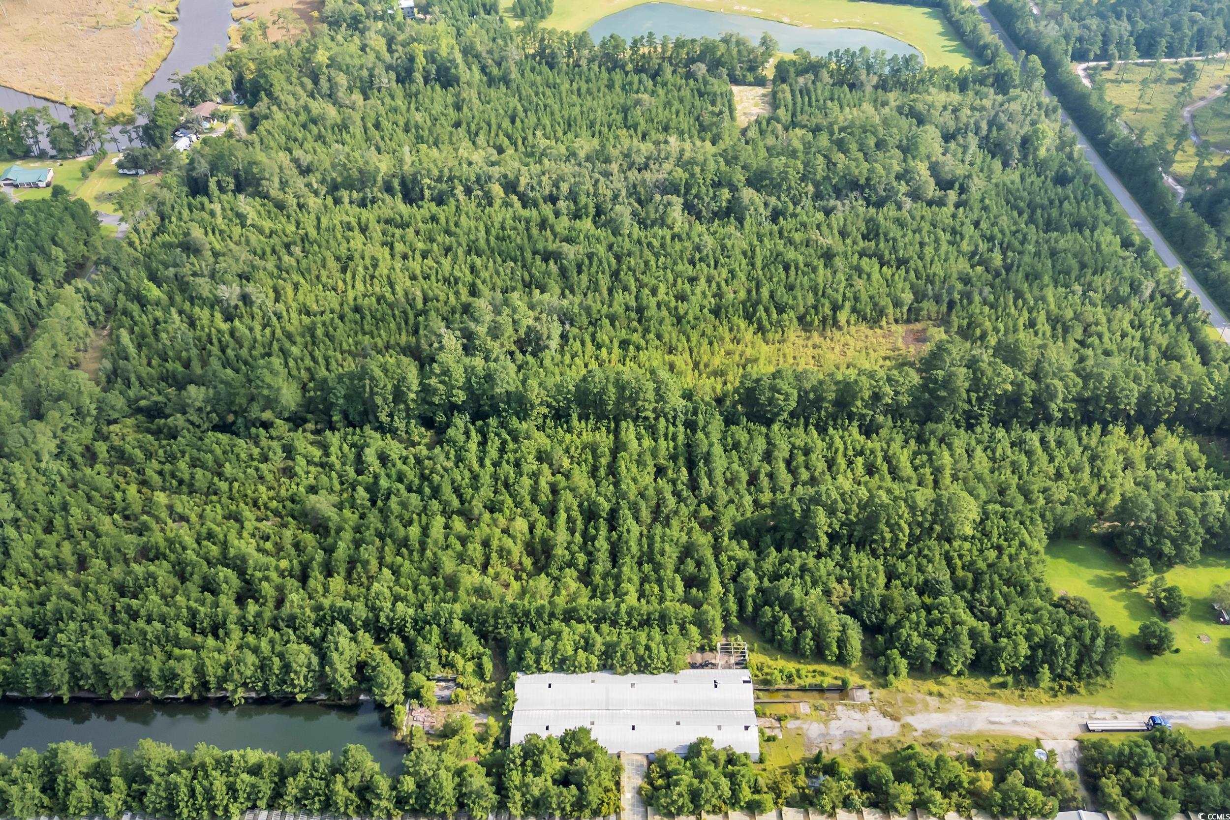 Tbd Creek Bend Road Georgetown, SC 29440 - Photo 6 of 12