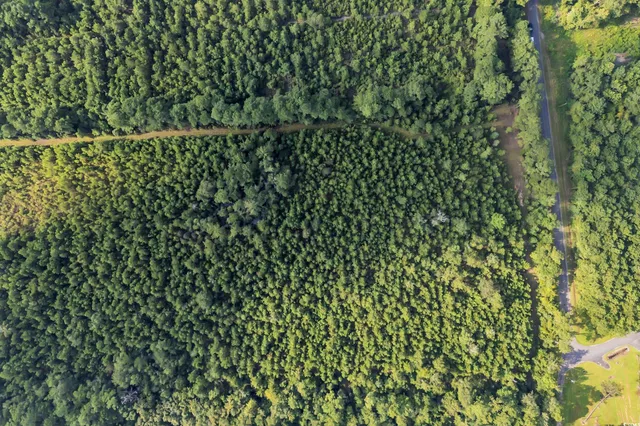 $174,000 | Tbd Creek Bend Road, Georgetown, SC 29440