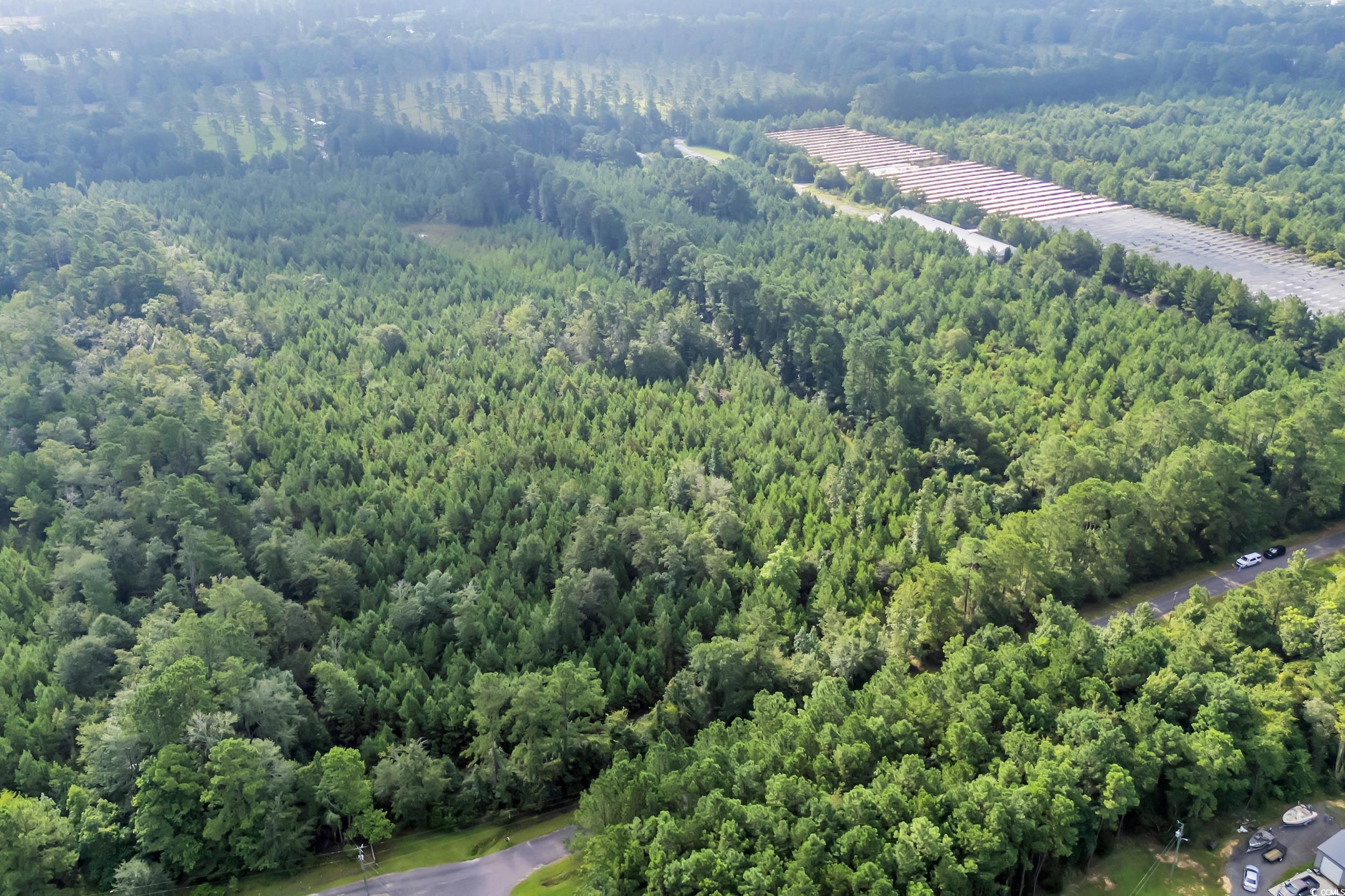 Tbd Creek Bend Road Georgetown, SC 29440 - Photo 8 of 12