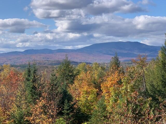10 Tory Hill Road Phillips, ME 04966 - Photo 2 of 13 96CFB2D2-