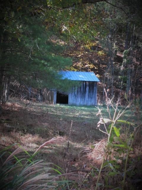 14 Wallace Hollow Road Lindside, WV 24951 - Photo 53 of 89 Gallery Image 53