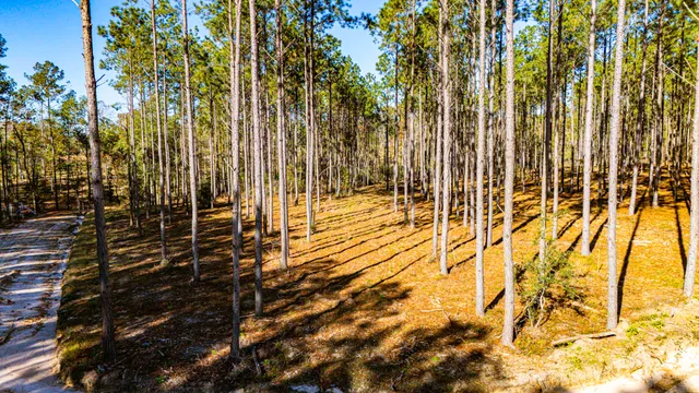a view of a backyard with wooden fence