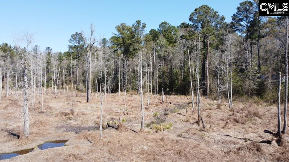 1672 Dixired Road Leesville, SC 29070 - Photo 34 of 67