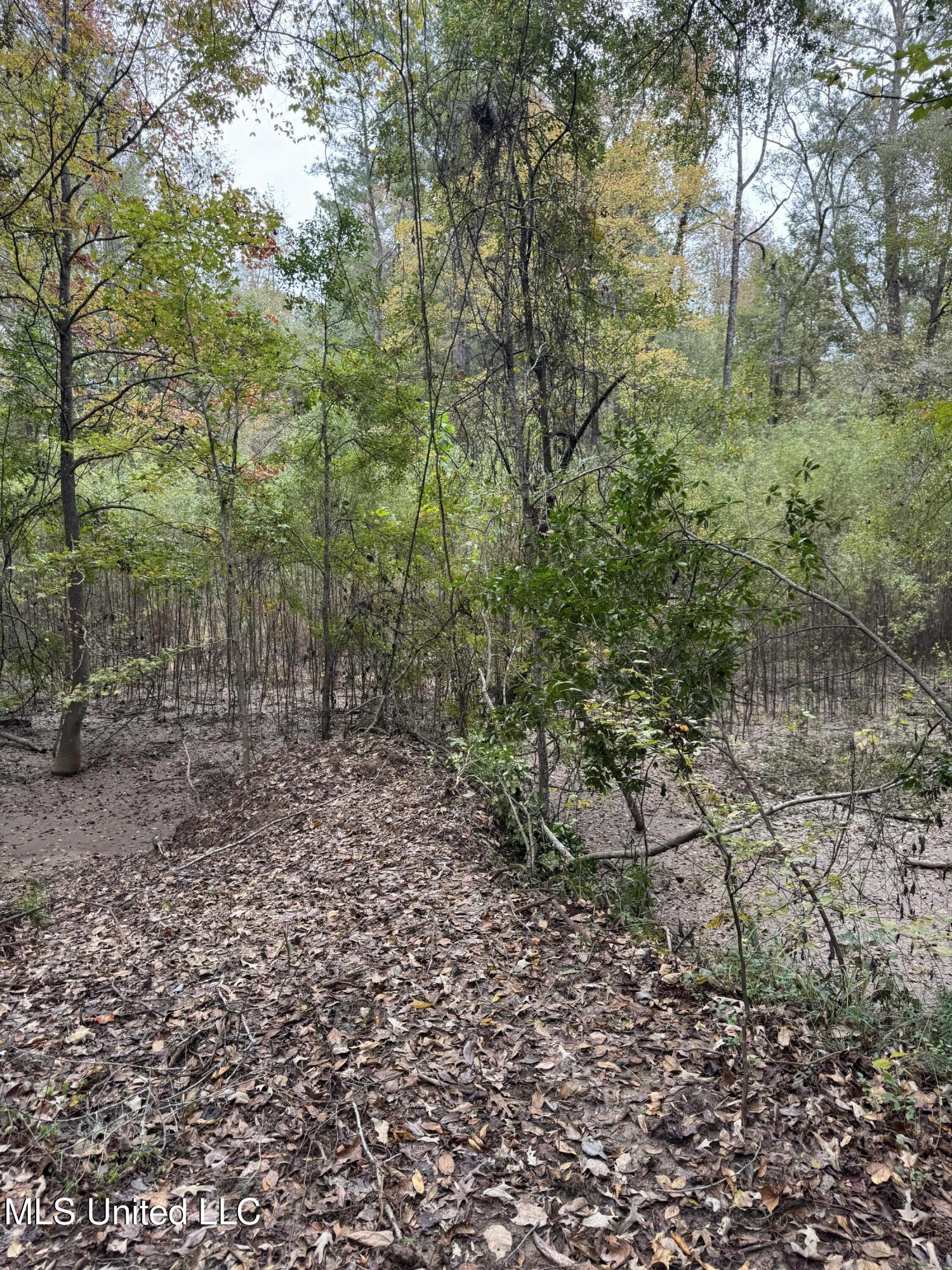 Deer Lake Road Natchez, MS 39120 - Photo 8 of 12 IMG_4513