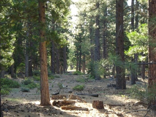 2001 C Road Clio, CA 96106 - Photo 12 of 15 Gallery Image 12