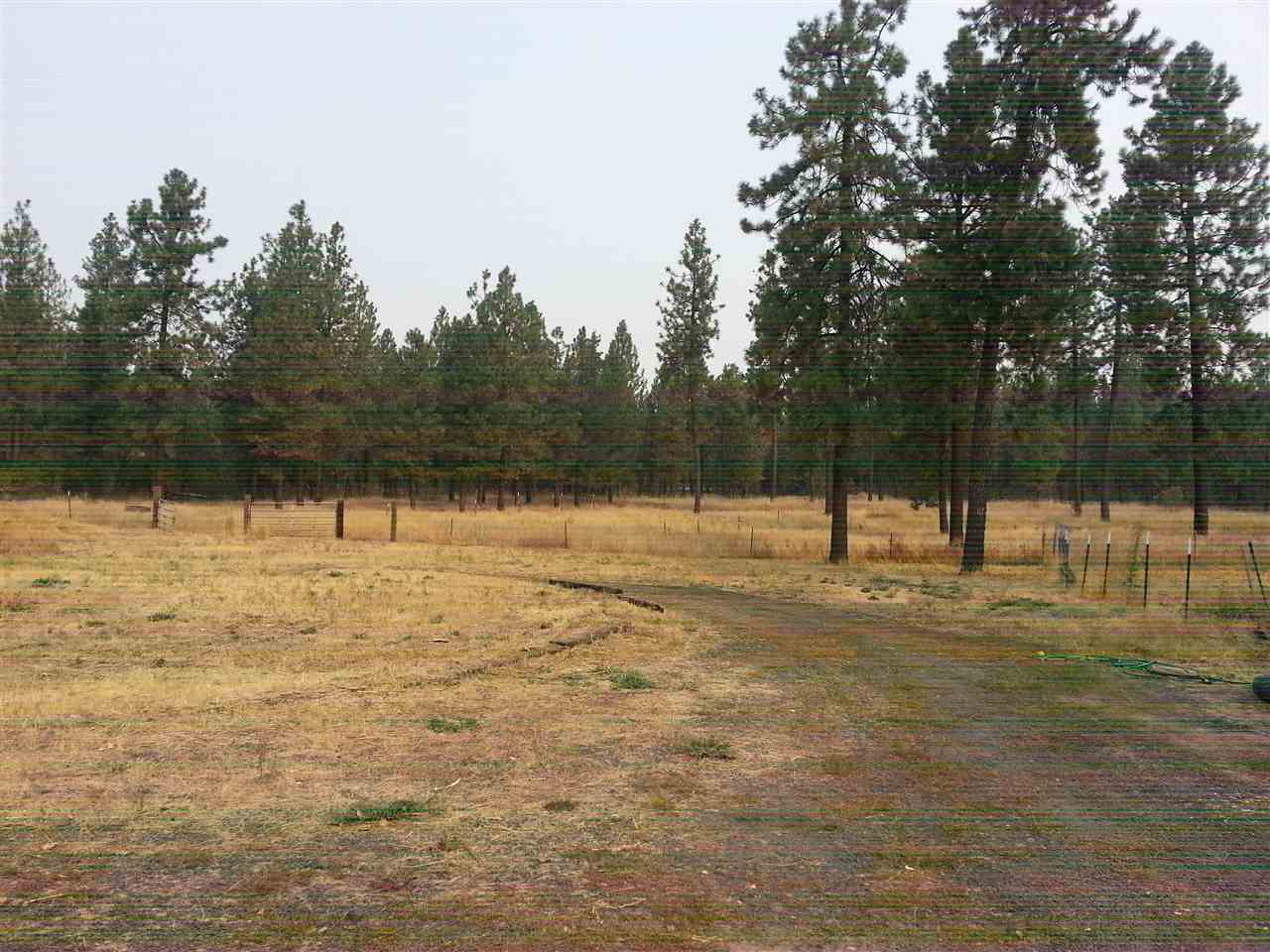 16409 South Sherman Road Cheney, WA 99004 - Photo 3 of 13