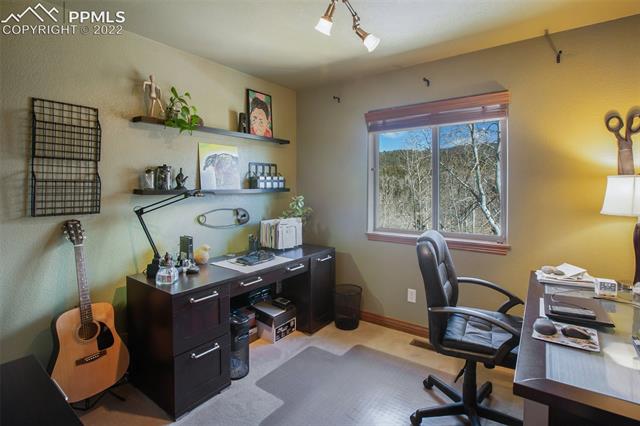 224 Worley Road Divide, CO 80814 - Photo 21 of 33