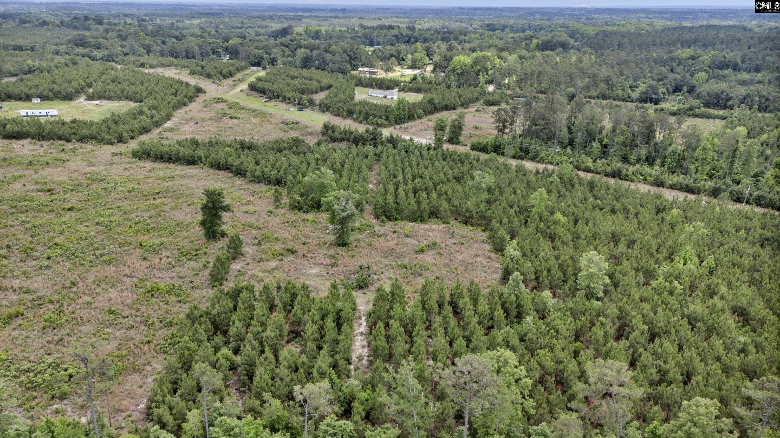 Na Bull Swamp Road North, SC 29112 - Photo 18 of 28