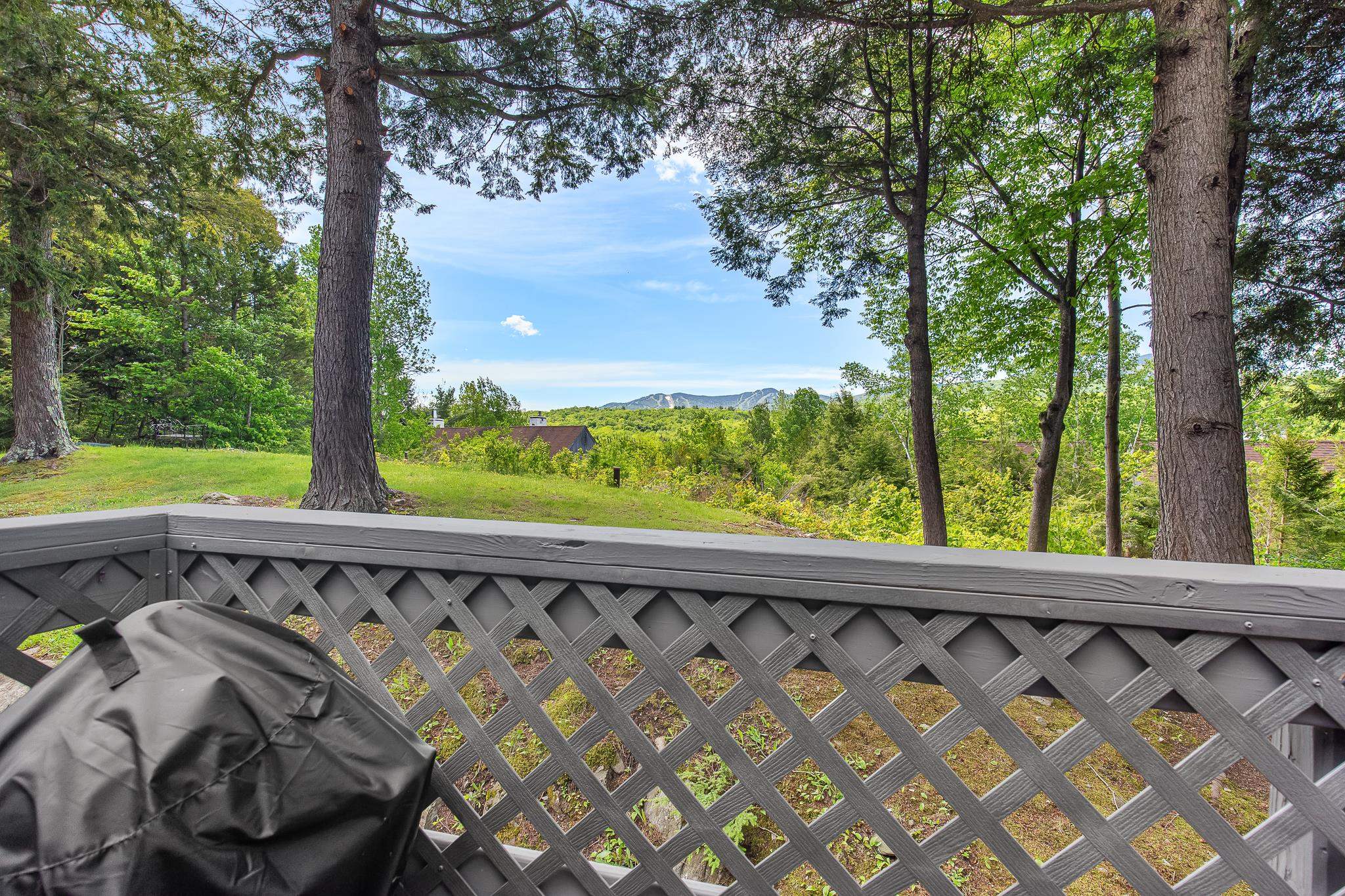 249 Moon Ridge Road, Unit 6D Killington, VT 05751 - Photo 12 of 49