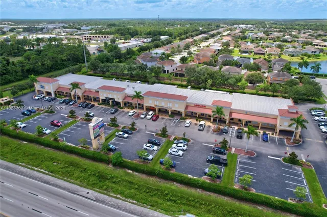 a view of a yard with potted plants