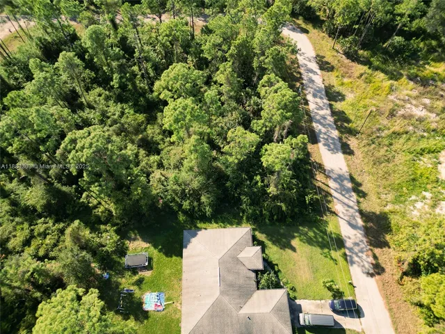 a view of a tree in a yard