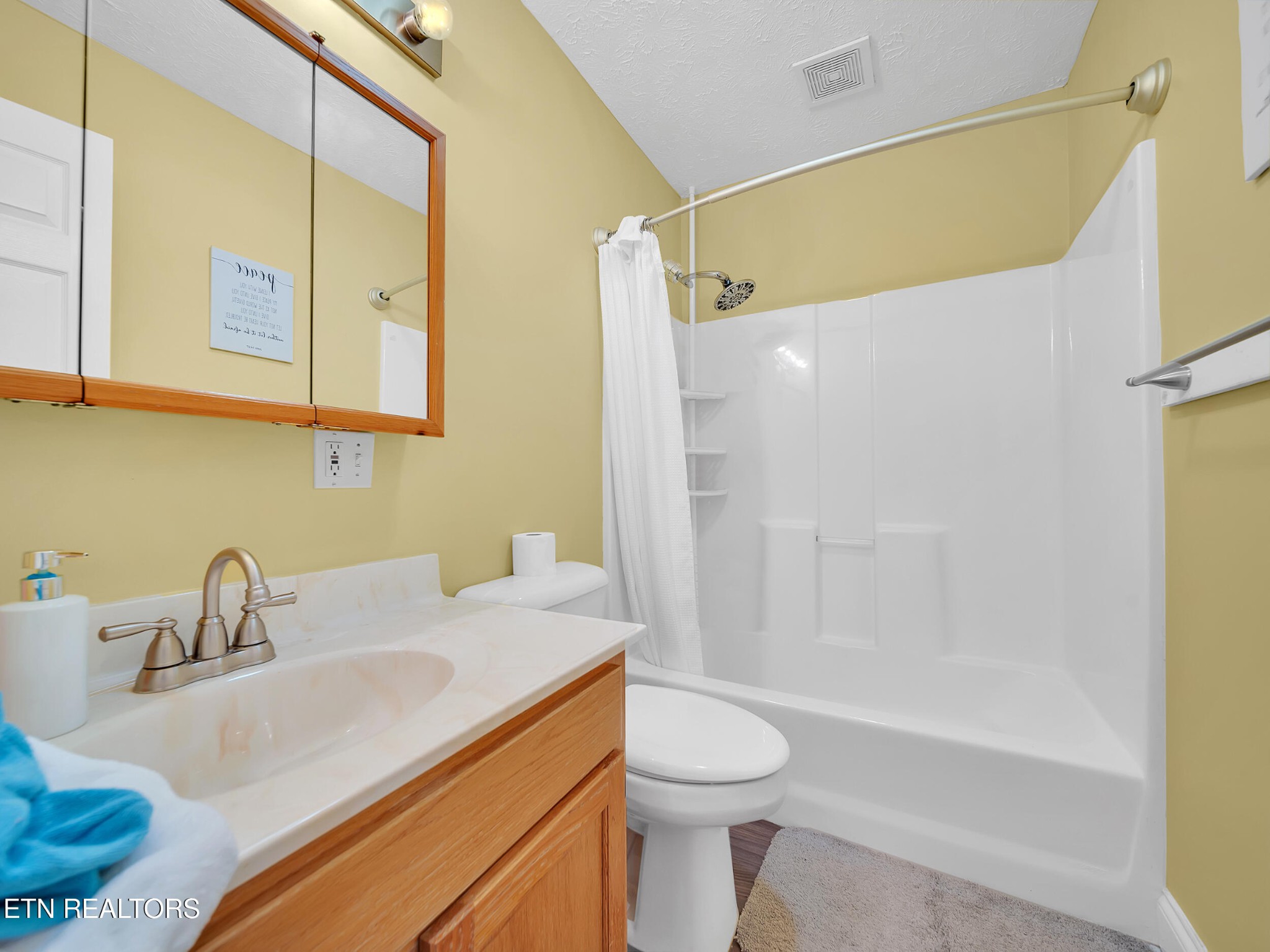 9256 Hines Valley Road Lenoir City, TN 37771 - Photo 32 of 46 a bathroom with a sink a toilet and shower