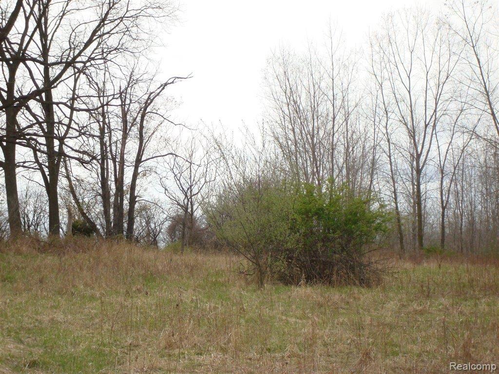 0 Hunters Creek Rochester, MI 48306 - Photo 7 of 7 Walk+Out+Sites.JPG