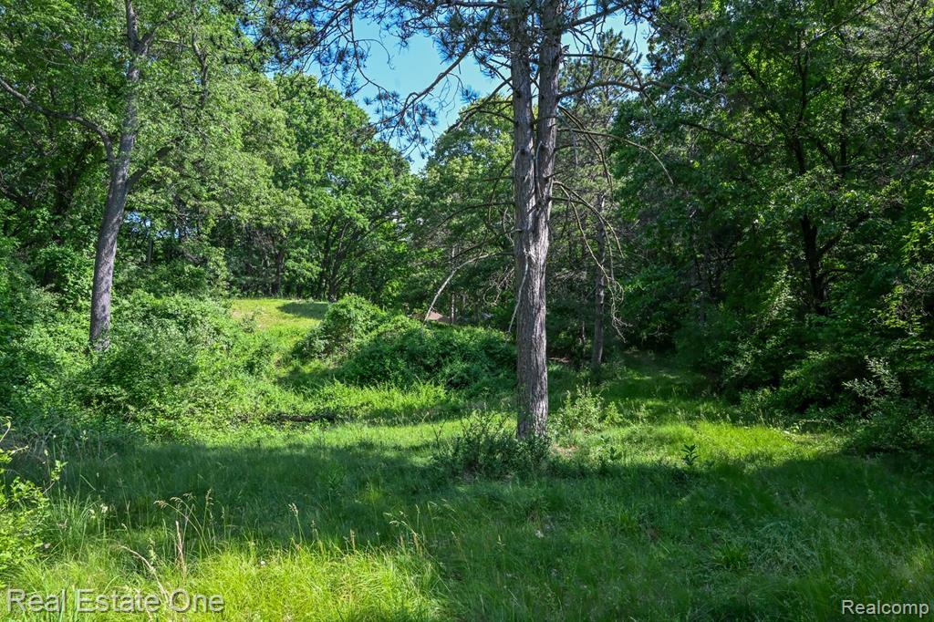 1832 West Commerce Road Milford, MI 48380 - Photo 6 of 13