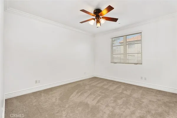 a view of a balcony with many potted plants