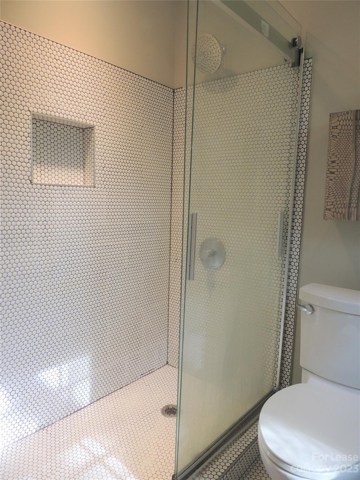 8700 Houston Ridge Road Charlotte, NC 28277 - Photo 15 of 29 a white toilet sitting next to a shower