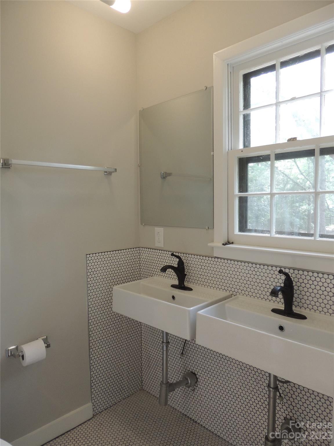 8700 Houston Ridge Road Charlotte, NC 28277 - Photo 16 of 29 a bathroom with a sink and a window