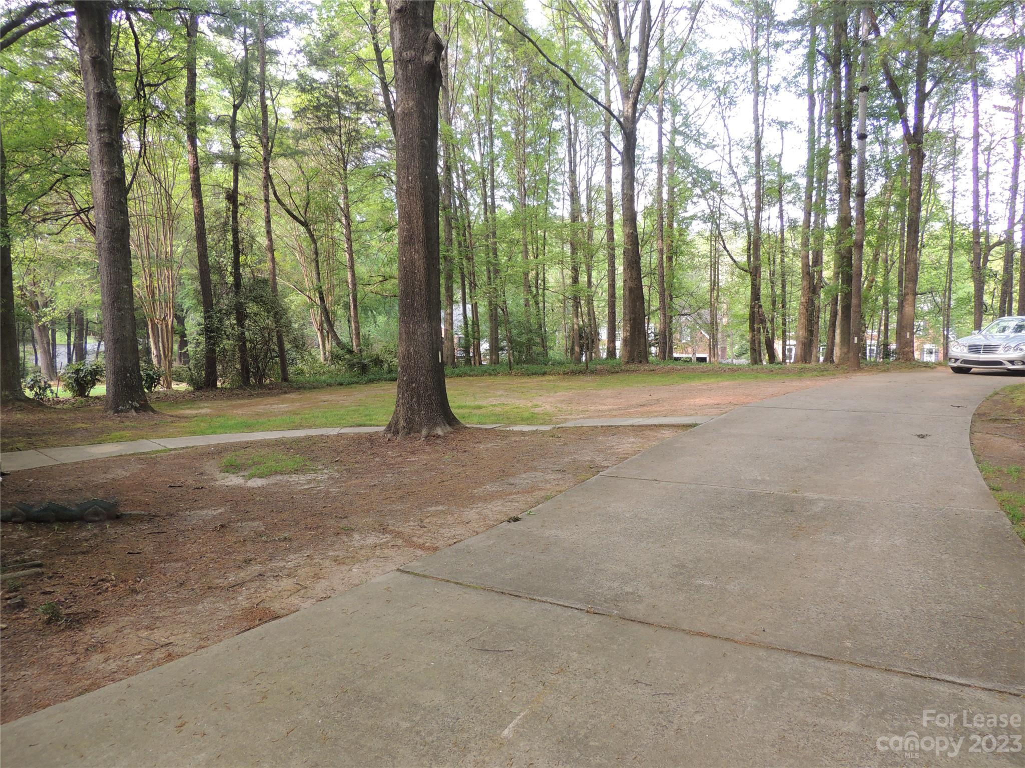 8700 Houston Ridge Road Charlotte, NC 28277 - Photo 29 of 29 a view of a trees in a yard