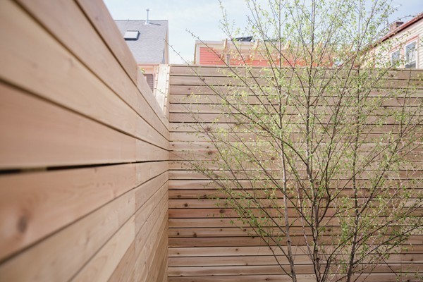 25 Rockingham Street, Unit 25 Cambridge, MA 02139 - Photo 24 of 24