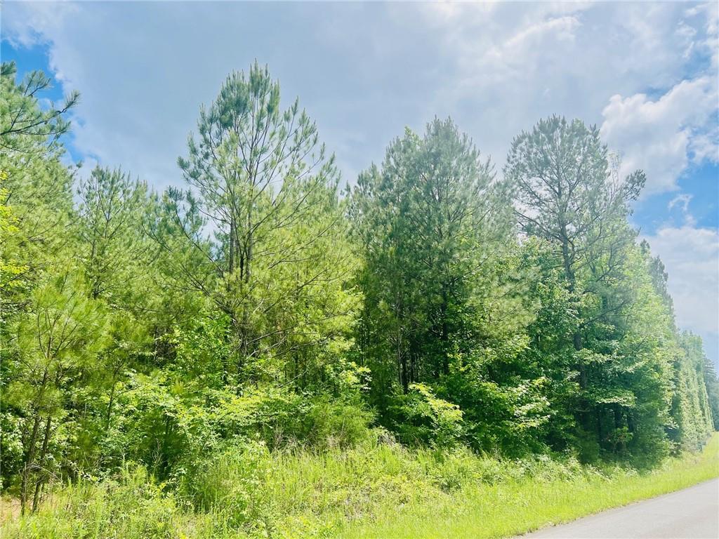 Tract1 Law Road Northwest Cartersville, GA 30120 - Photo 1 of 1 Gallery Image 1