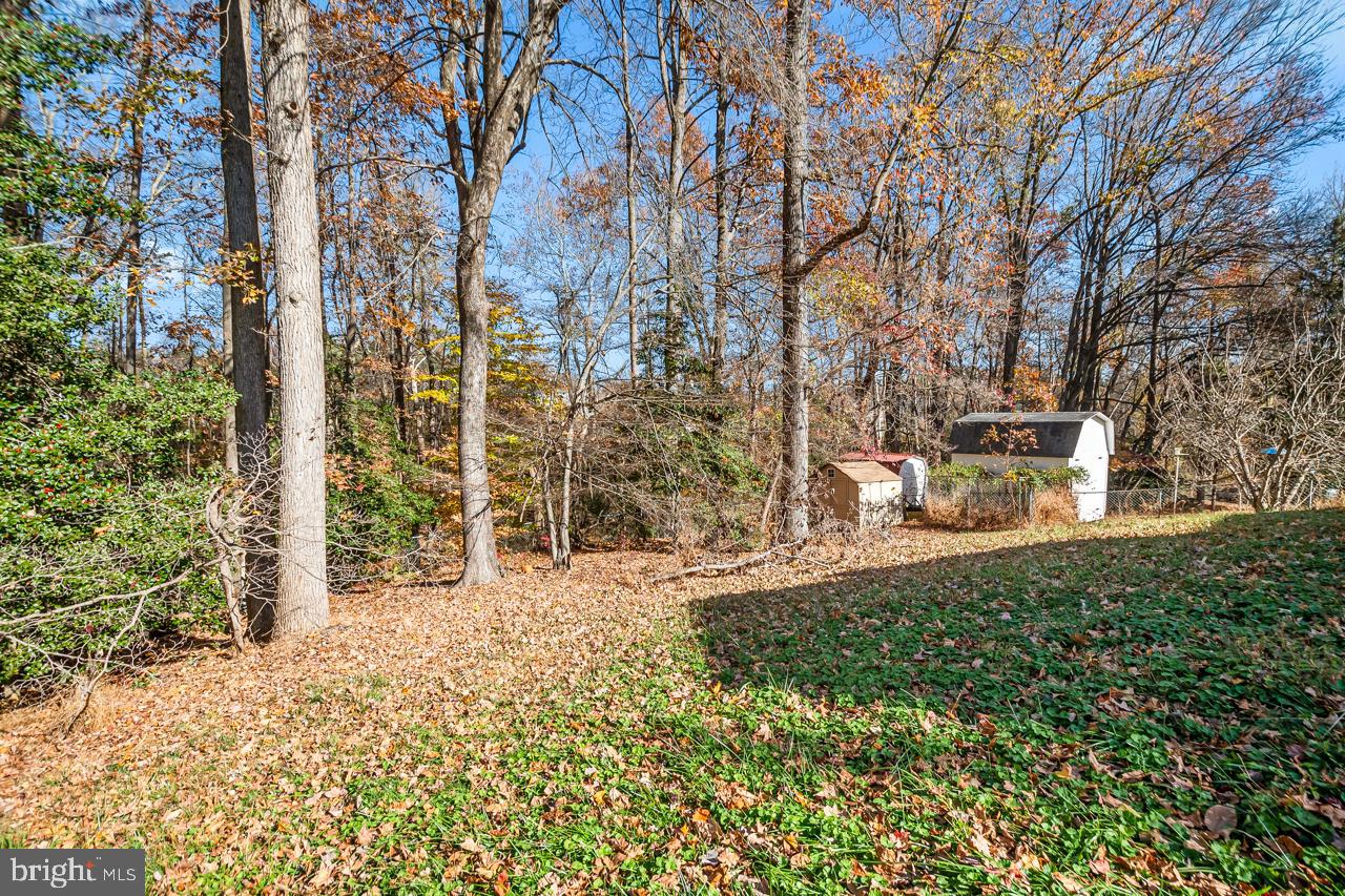 7002 Killarney Street Clinton, MD 20735 - Photo 26 of 26 a backyard of a house with lots of green space