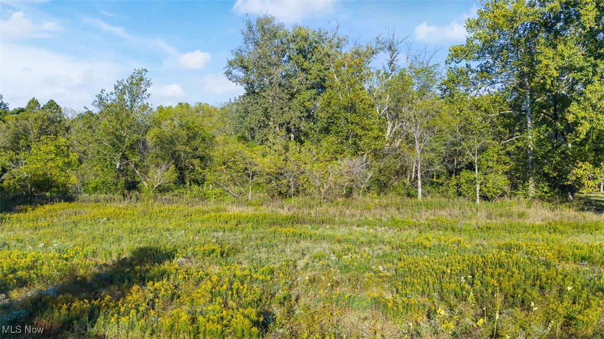 19345 Ridge Road North Royalton, OH 44133 - Photo 16 of 47 View of woods