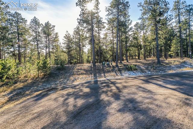 17501 Abert Ridge View Colorado Springs, CO 80908 - Photo 44 of 45 Gallery Image 44