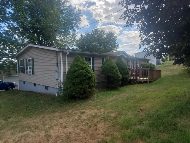 a backyard of a house with plants and large tree