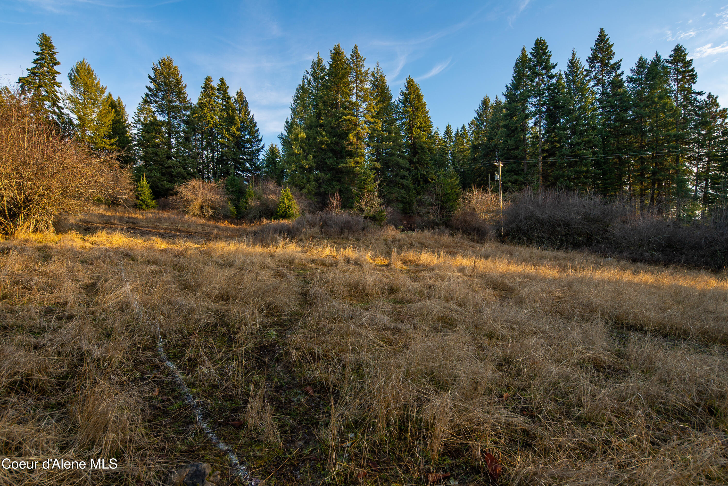 Tbd East Sunnyside Road Coeur D'Alene, ID 83814 - Photo 11 of 14 SUNNYSIDE PASTURE
