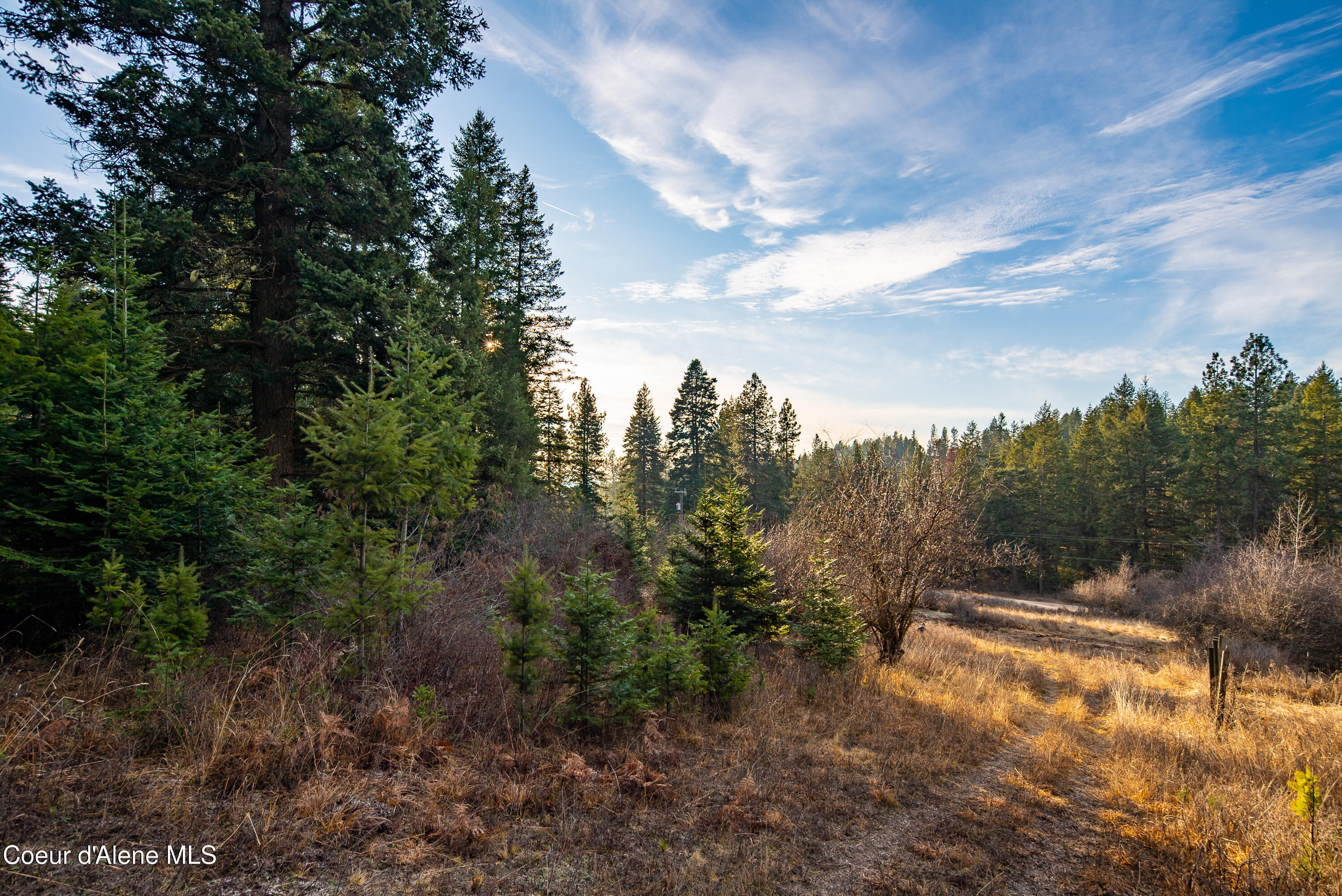 Tbd East Sunnyside Road Coeur D'Alene, ID 83814 - Photo 6 of 14 SUNNYSIDE PRIVACY