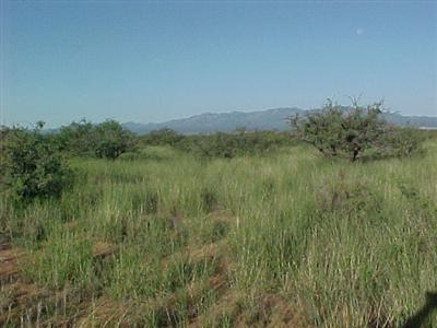 0 East Horse Ranch Road, Unit 50 St. David, AZ 85630 - Photo 1 of 3