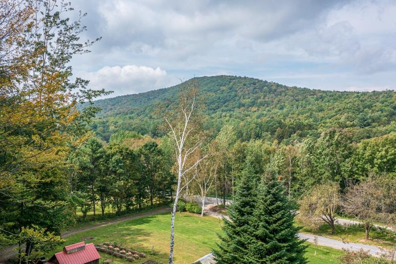 2744 Danby Mountain Road Dorset, VT 05251 - Photo 39 of 40