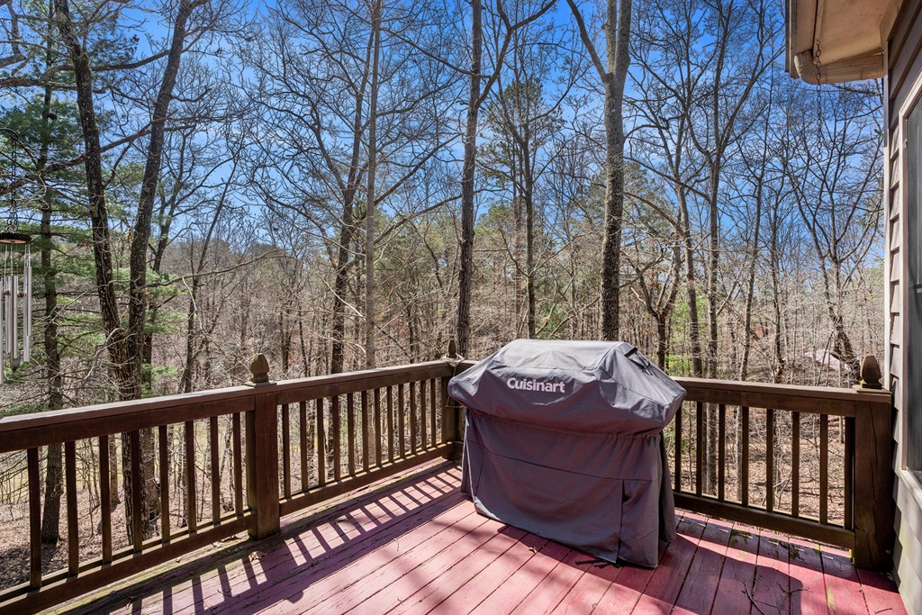 277 Hunters Ridge Road Mineral Bluff, GA 30559 - Photo 21 of 35 Outdoor deck