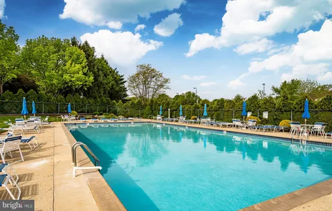 a view of a swimming pool that has lawn chairs plants and large trees