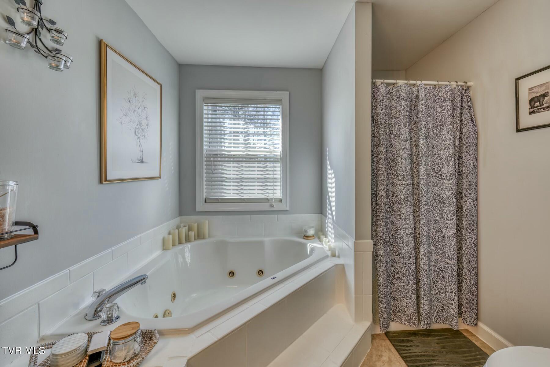 164 Dean Archer Road Jonesborough, TN 37659 - Photo 28 of 45 Primary Bath