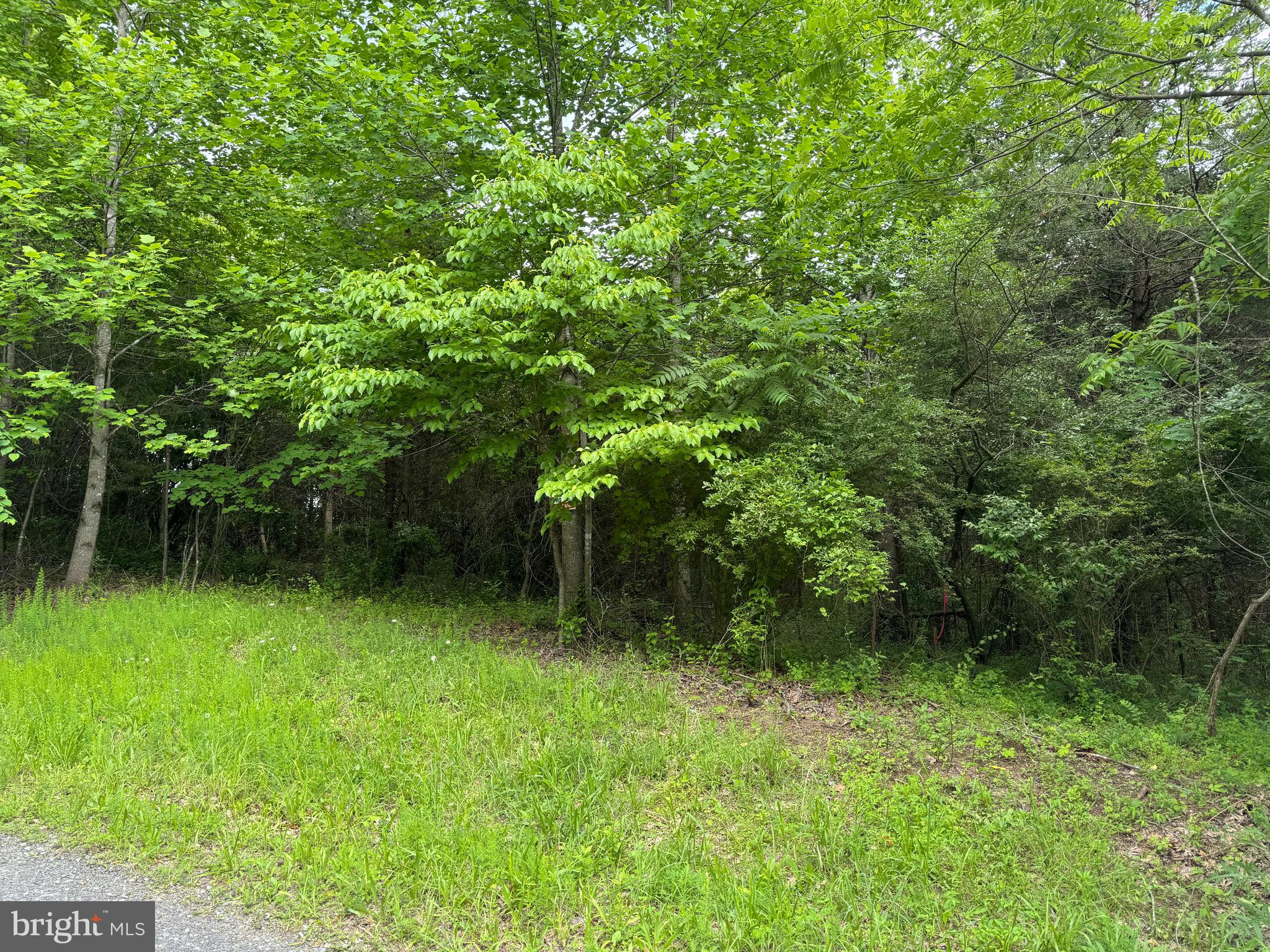 0 Castleton Ford Road Castleton, VA 22716 - Photo 1 of 9