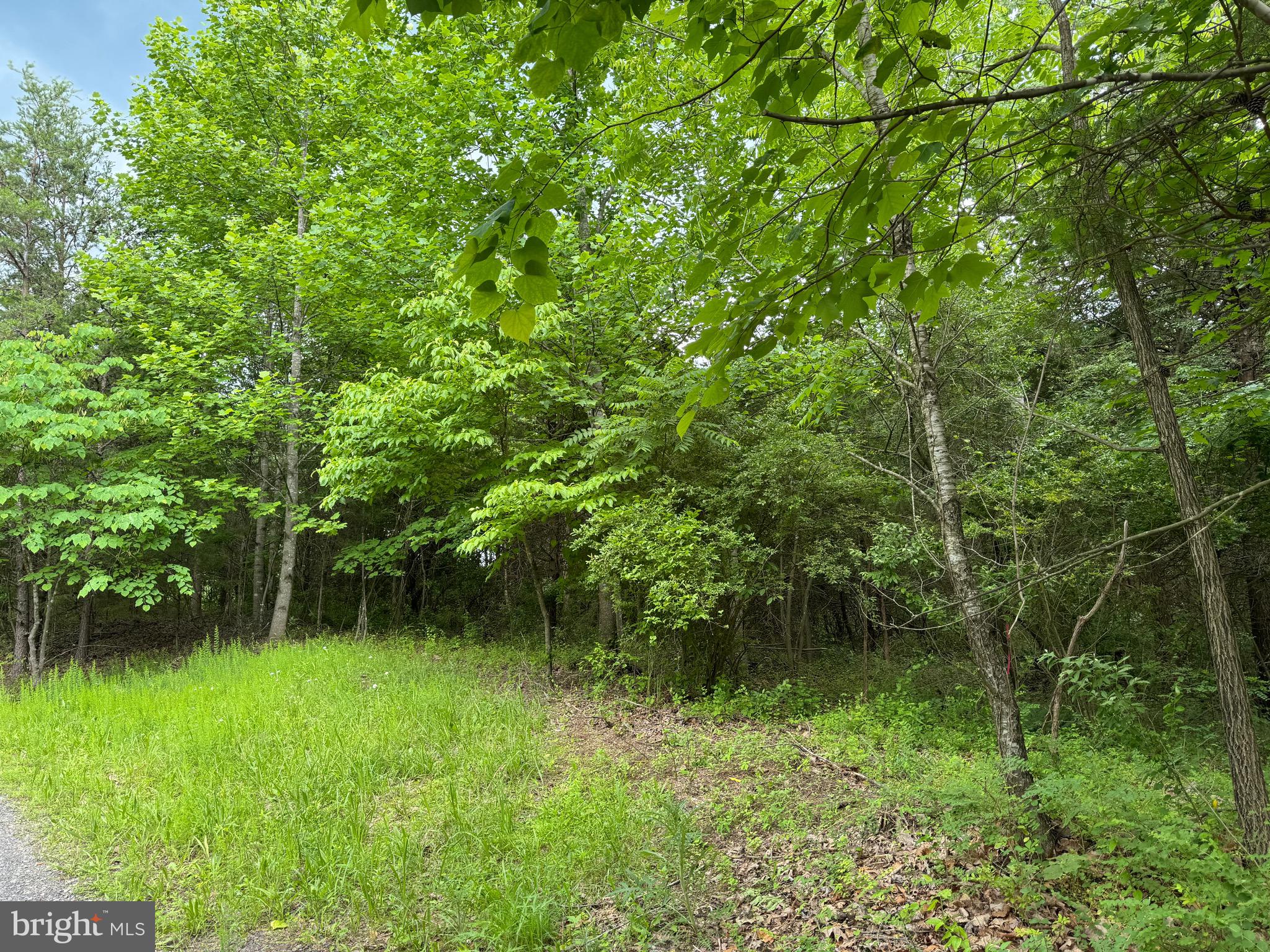 0 Castleton Ford Road Castleton, VA 22716 - Photo 2 of 9